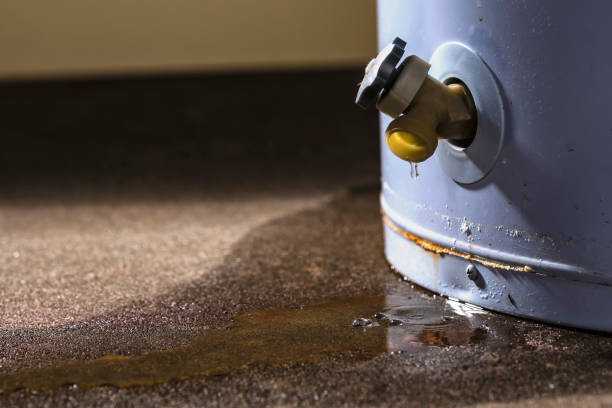 Best Mold removal after water damage  in Clear Lake, WI
