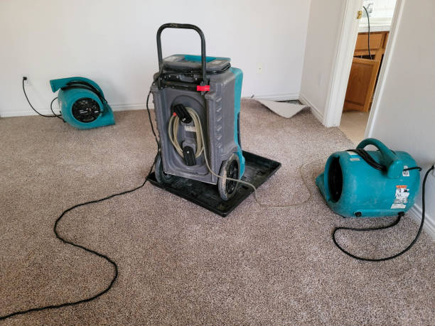  Clear Lake, WI Water damage restoration Pros
