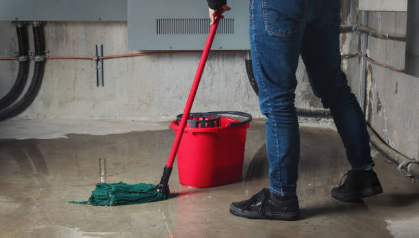 Best 24/7 water damage repair  in Clear Lake, WI