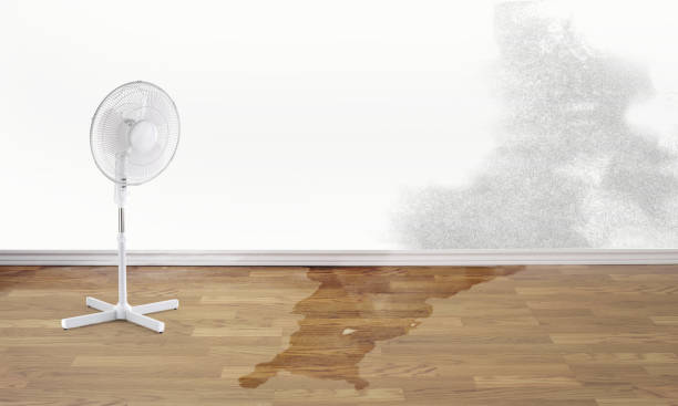 Best Ceiling water damage repair  in Clear Lake, WI