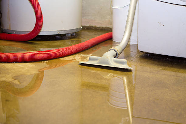 Best Water damage contractors near me  in Clear Lake, WI