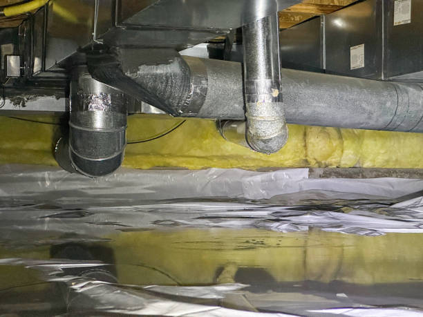 Best Carpet water damage restoration  in Clear Lake, WI