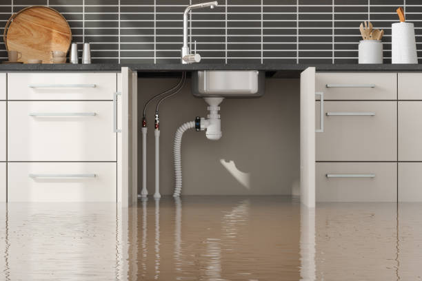 Best Flood damage cleanup  in Clear Lake, WI